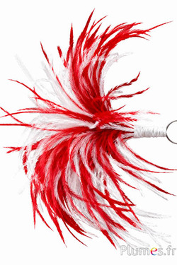 Pennacchio struzzo con anello - alt. 18-20 cm - rosso-bianco
